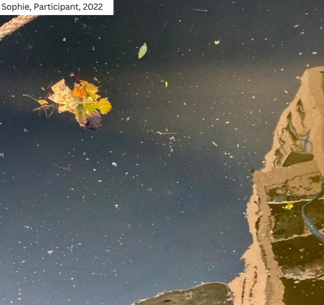 Reflective water surface with floating leaves at From Lens to Self workshop. Sophie's 2022 introspective photography showcases self-discovery through Gianpietro Pucciariello's coaching. Nature-inspired creativity in London photography workshops.