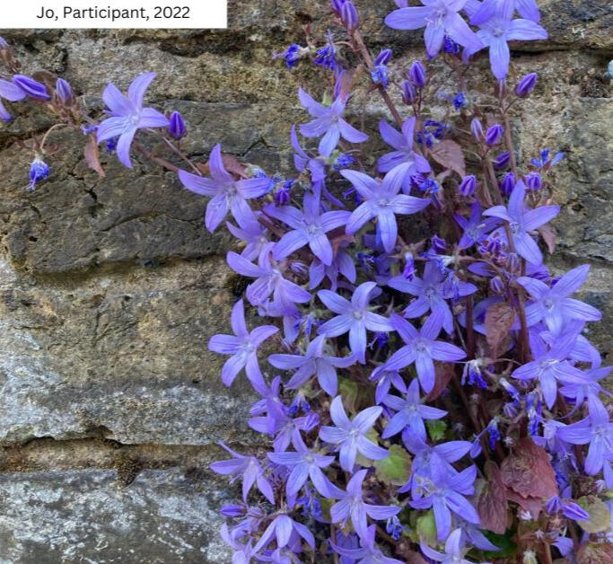 Gianpietro Pucciariello